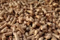 Pellet