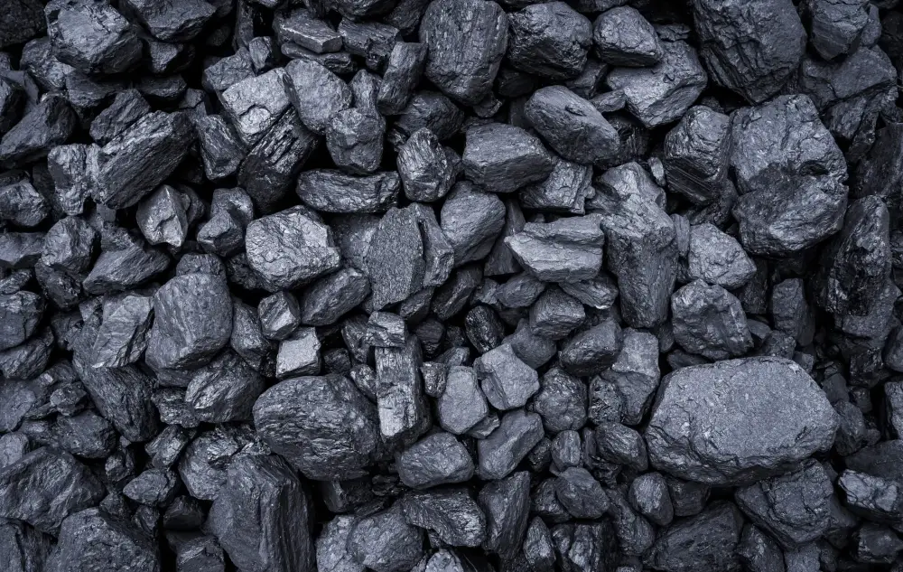 Charbon Elite 100% Anthracite